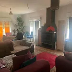 Loft Cosy